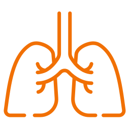 For health of a respiratory system For health of a respiratory system